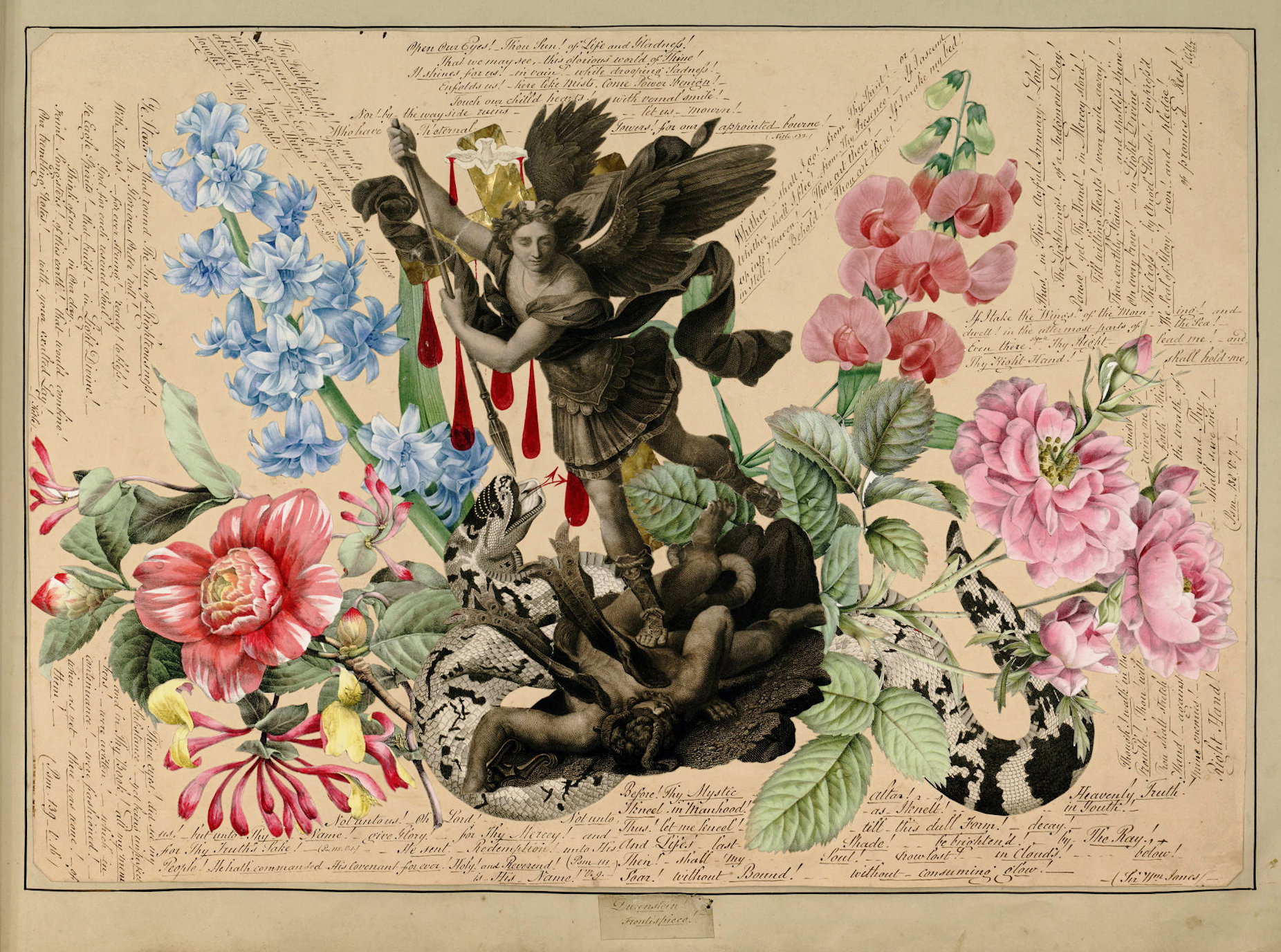 Antique botanical illustration of an angel surrounded by delphiniums, roses, honeysuckle, and a serpent